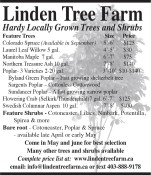 Hardy Locally Grown Trees and Shrubs